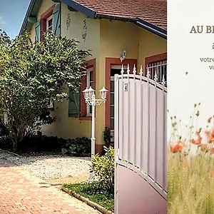 Bed & Breakfast Au Bien Venu, Noé